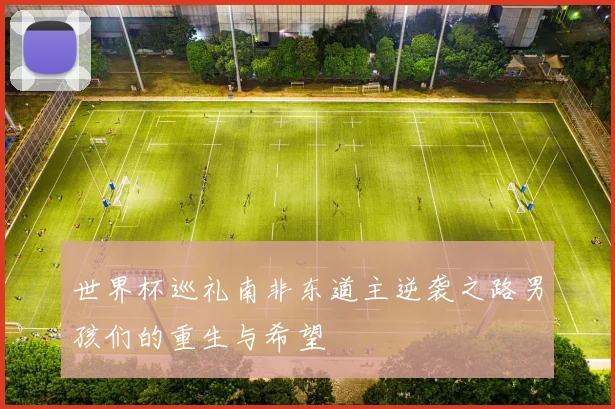 世界杯巡礼南非东道主逆袭之路男孩们的重生与希望
